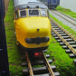 NS Mat 54 Hondekop 2