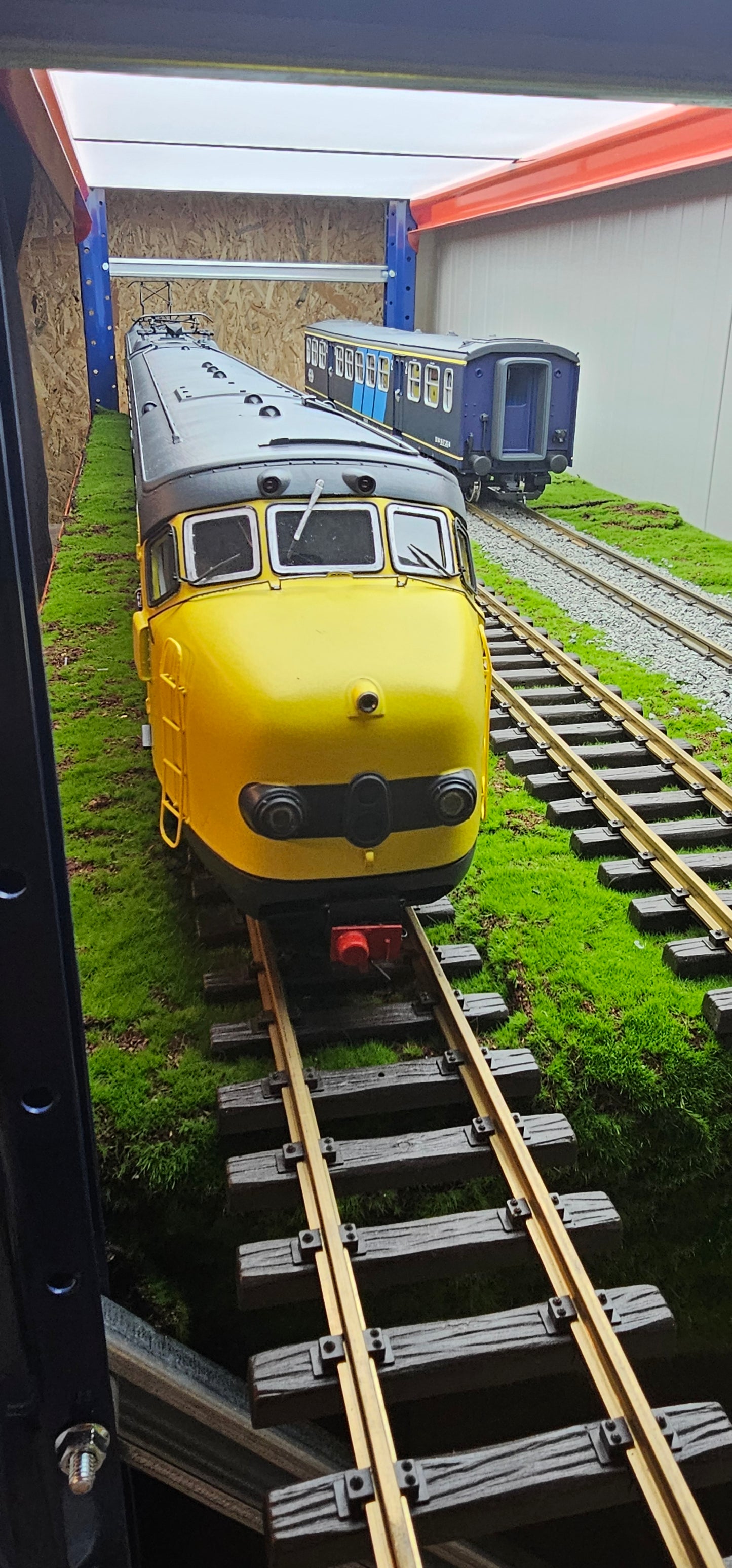 NS Mat 54 Hondekop 2